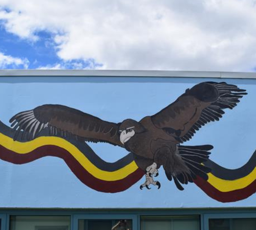 Image banner 500x450 Aboriginal Health webpage feature card