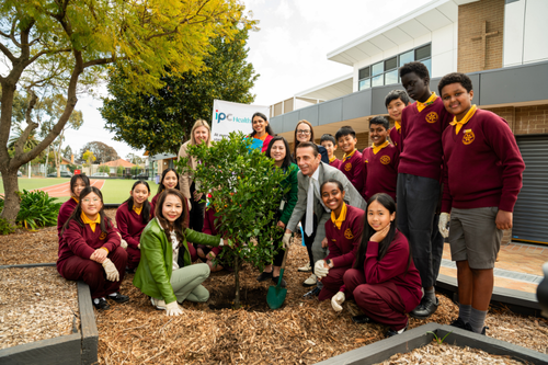 Image banner HP VKEW header 500x333